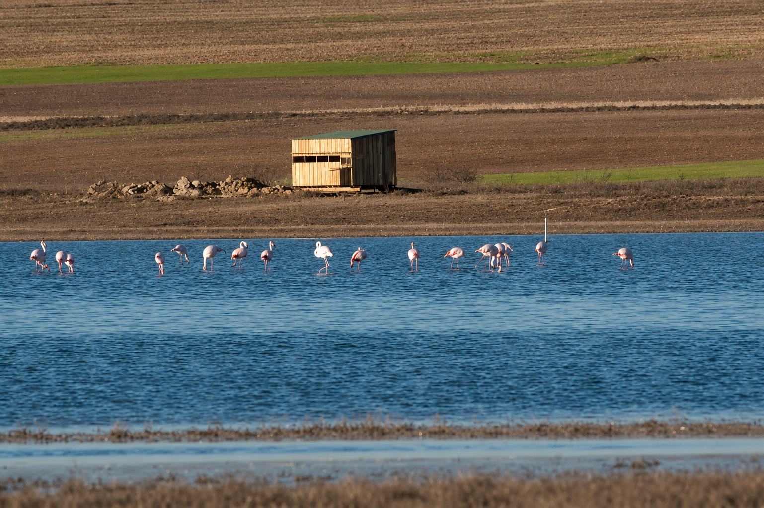 Laguna de El Hito